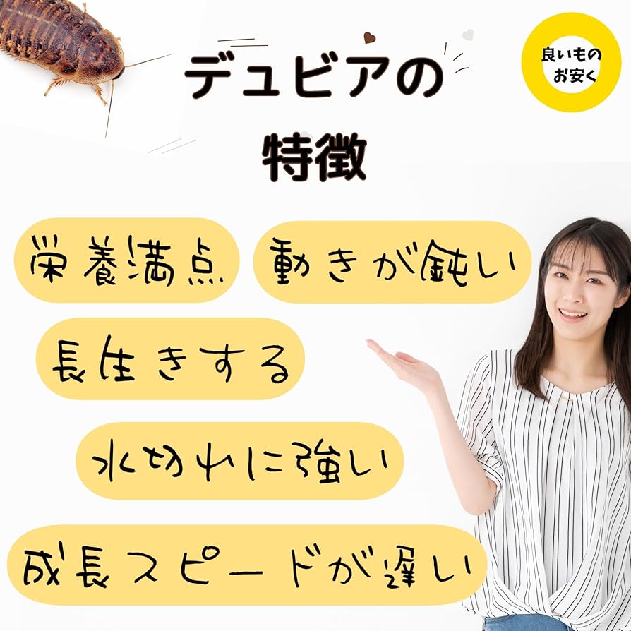 Amazon | デュビア SSサイズ 【5-10mm】 エサ 餌 活き餌