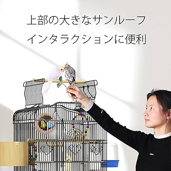 Amazon | 超大型 バードゲージ 大型鳥かご｜ブランコ付き・複数飼いに