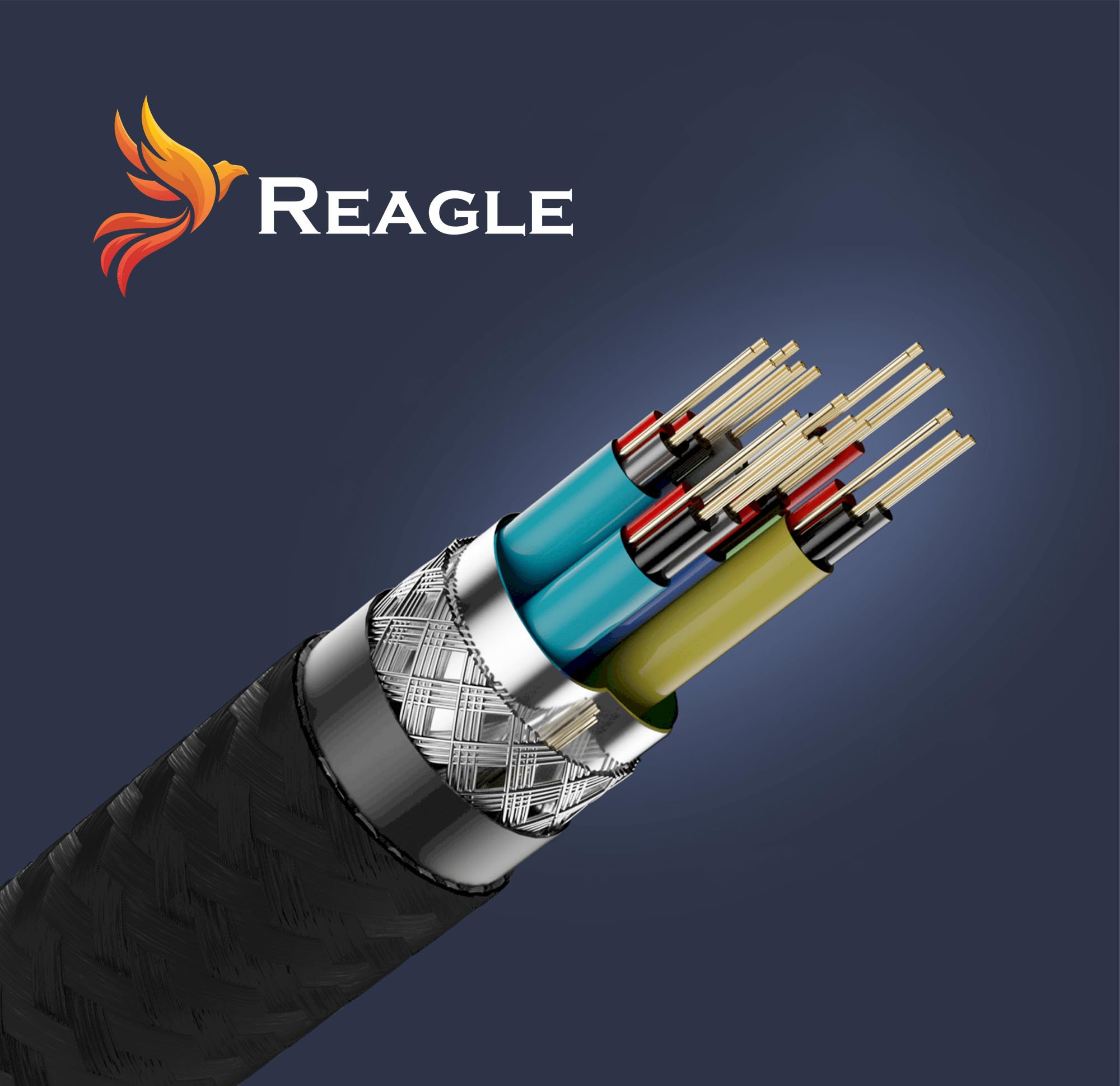 Reagle Cavo DisplayPort A HDMI 8K: Nylon Intrecciato, HDR, 4K@144Hz, Perfetto Per Gaming E Home Cinema