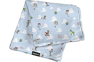 Dreamy Nights with Toy Story Blanket for Girls