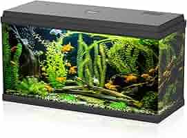 Acquario Amtra Basic 80 LED 85 Litri - Con Filtro, Illuminazione LED, Vetro 6mm, 80x32x47 Cm - Foto 3