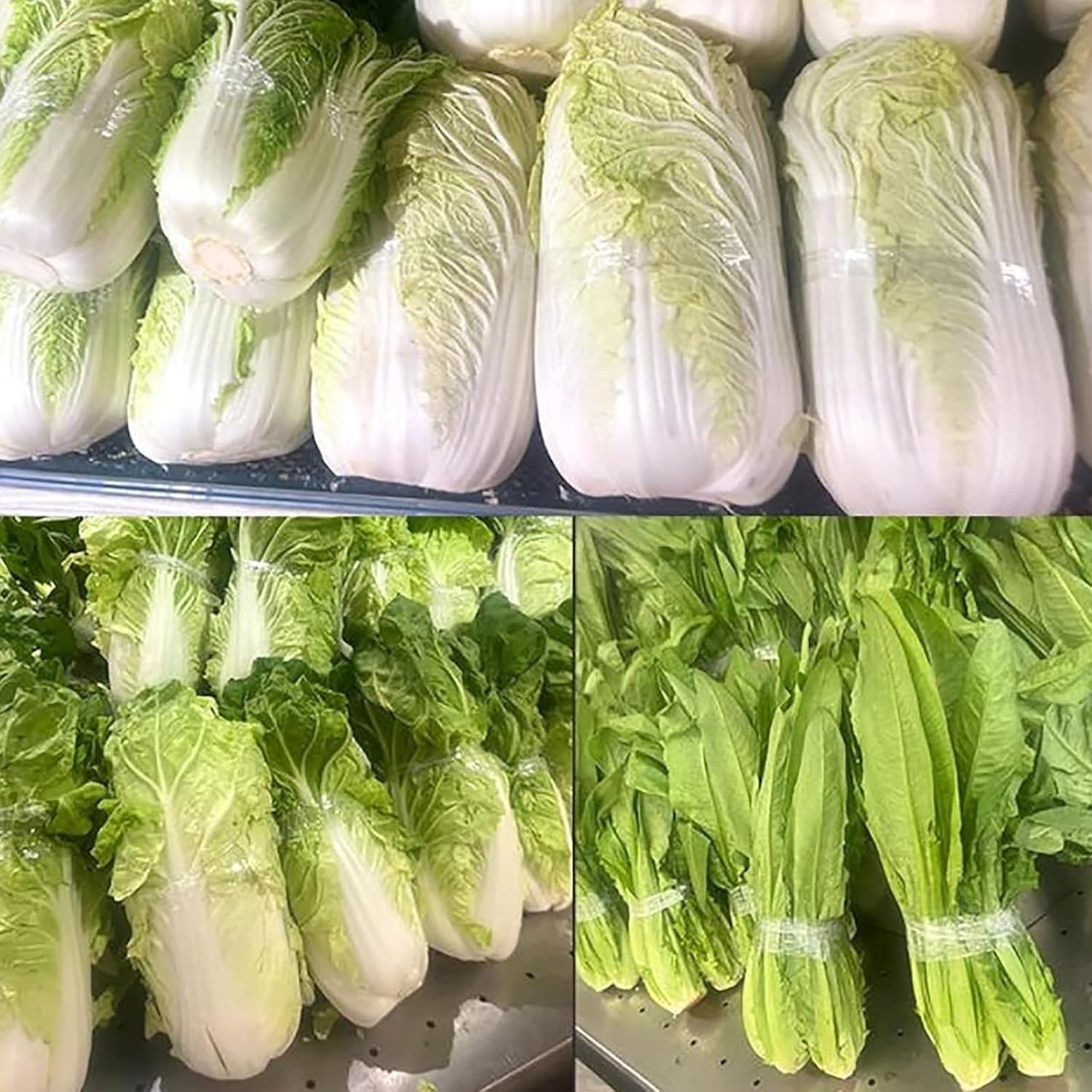 Máquina flejadora de verduras, herramienta de encuadernación semiautomática con mango de fácil agarre y resorte de retorno, perfecta para supermercados, tiendas de alimentos frescos y mercados de
