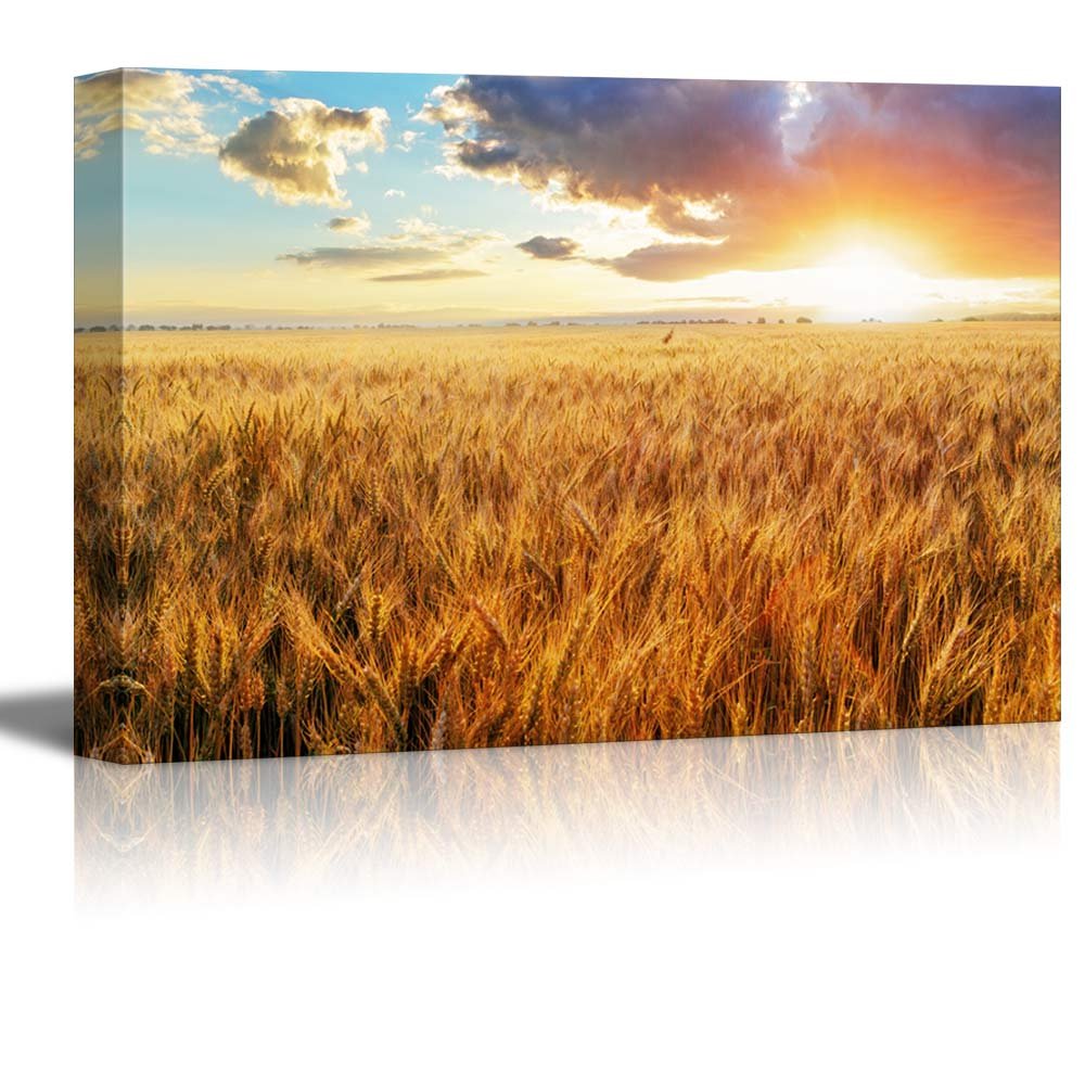 Canvas Prints Wall Art - Beautiful Scenery/Landscape Sunset Over Wheat Field | Modern Home Deoration/Wall Art Giclee Printing Wrapped Canvas Art Ready to Hang - 24" x 36"