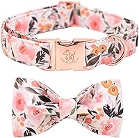 Vista 14 de Elegant little tail - Collar de otoño para mascotas con corbatín, lindo collar de Halloween con estampado de flores y calabaza para cachorros