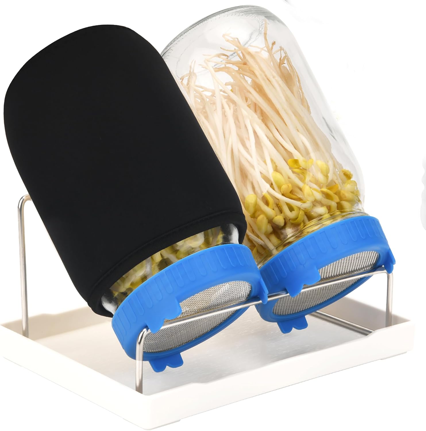 Lulonpon Sprouting Lids Growing Kit, Screen Sprout Lids with Stand, Sprouting jar kit for Sprouting, Sprouting Bean Seeds, Sprouting Kit - Image 7
