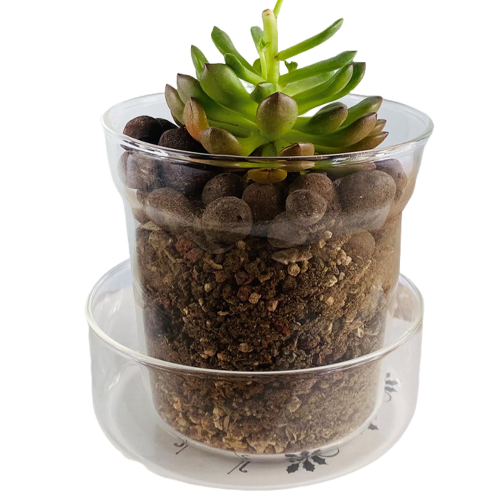 Macetero de cristal con agujeros de drenaje para ver el crecimiento de las raíces, maceta de cristal transparente con platillo de terrario, macetas para plantas suculentas, macetero de cristal para el