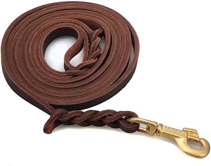 leather dog training leash
