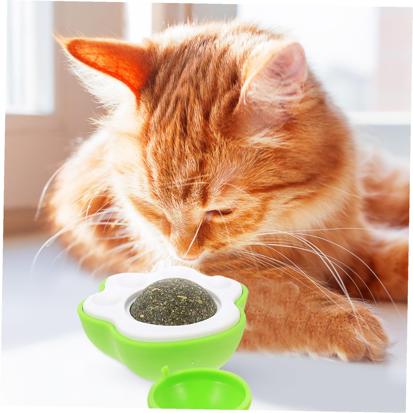 BESPORTBLE 10 Juegos gatera Bola de Limpieza de Juguete para Mascotas Juguetes Gatito Gato lamiendo Catnip Familiar Bolas de Menta Gato para s