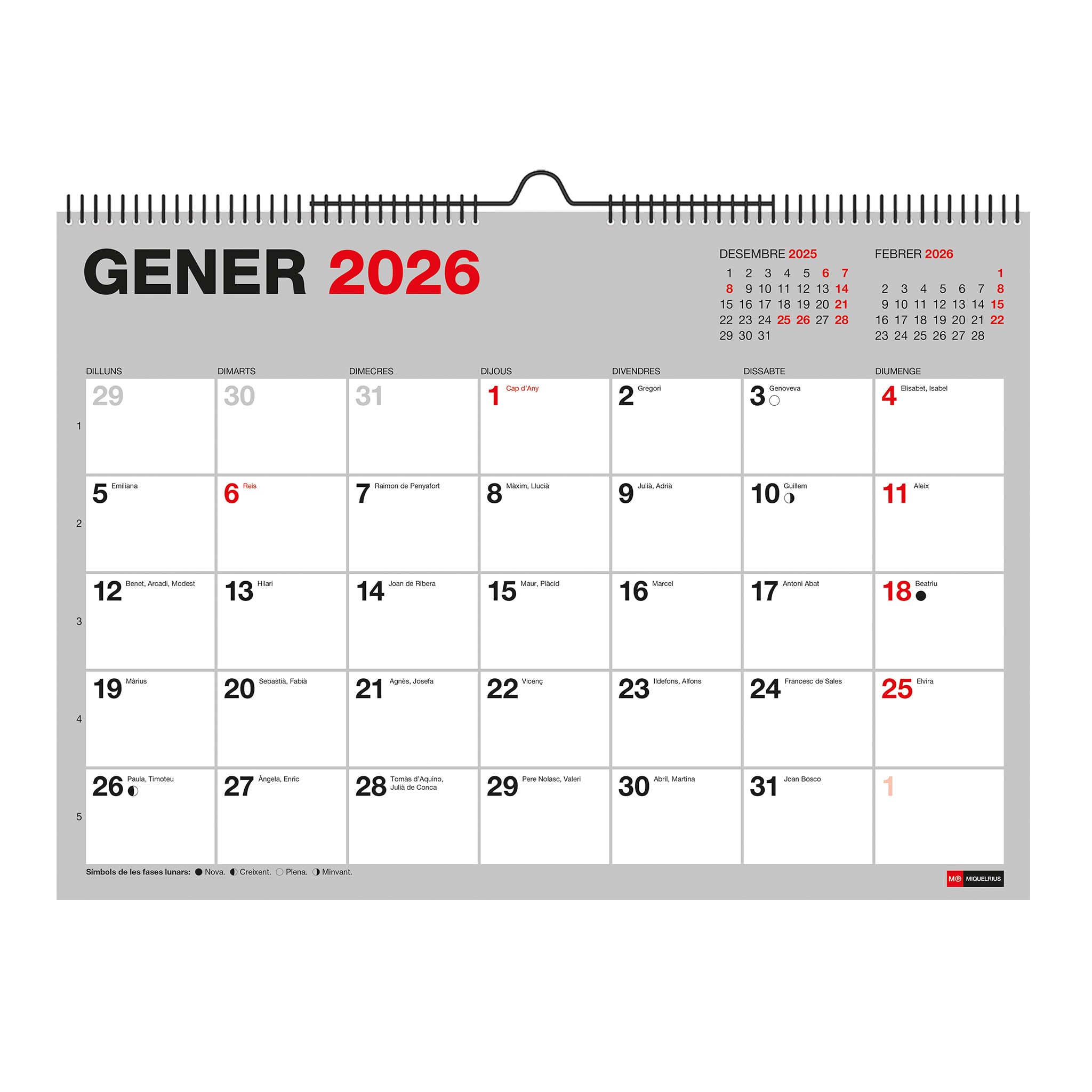 Miquelrius - 2026 Basic Wall Calendar, A4 Yearly Organizer: 296 x 210 mm, with Writing Space, Double Spiral Binding, 12 Month Planner, Catalan