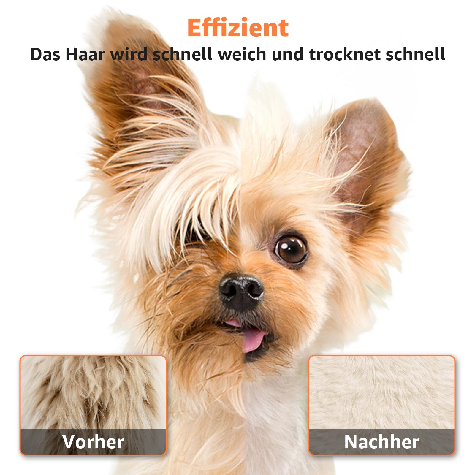 XKISS Soffiatore per Cani 2800W Asciugatore per Cani Continua con velocità e Temperatura Regolabile Asciugacapelli per Animali Domestici，Grooming Cane Animali，con 4 Accessori. (Nero)