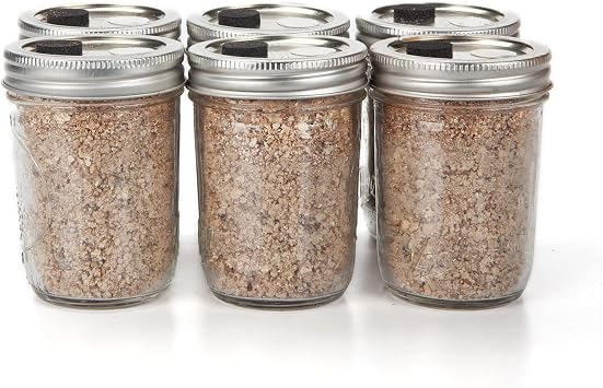 BRF/PF Tek Mushroom Substrate Cakes - 6 Pack