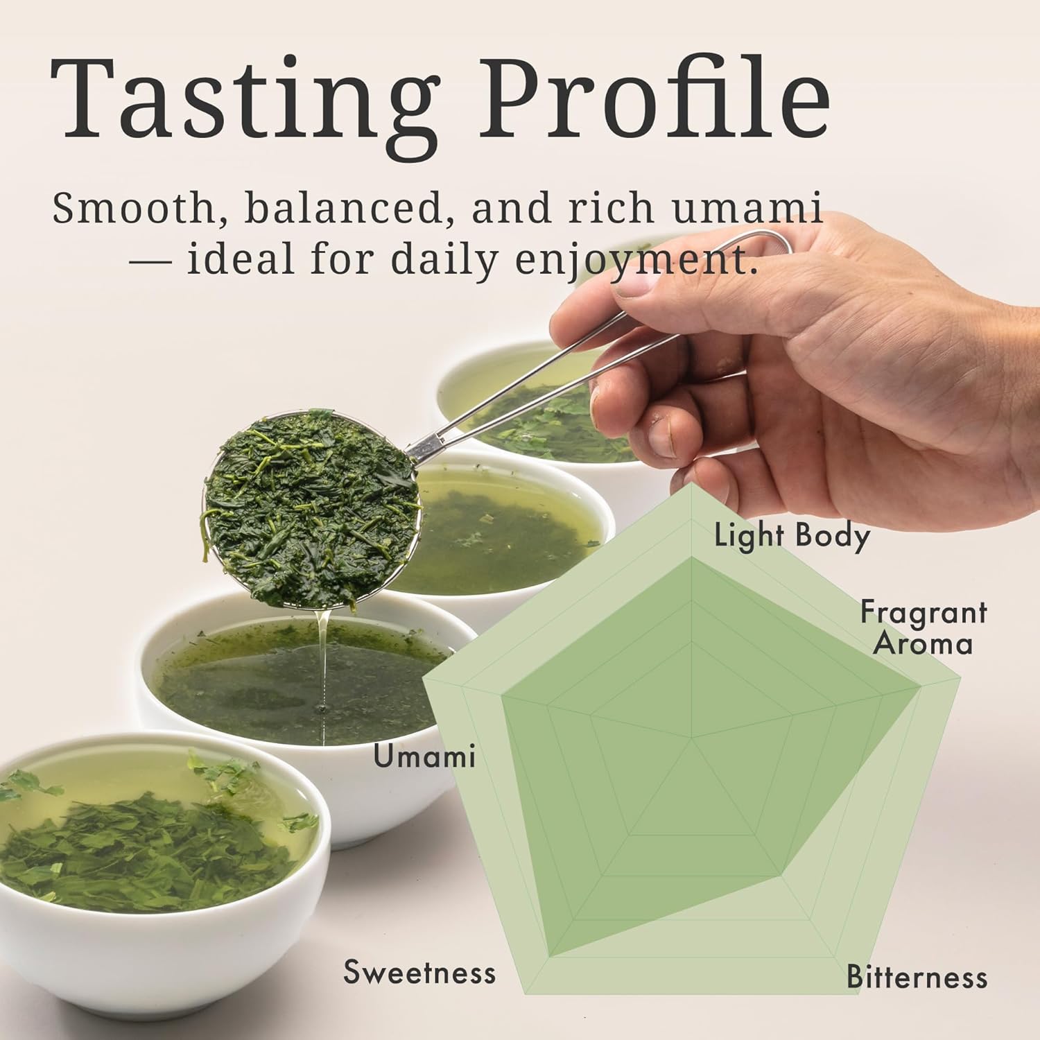 Sweet & Delicious Sencha from Kagoshima – Japanese Green Tea, 100-Year Legacy, Roasted by Tea Masters, 40 Tea Bags – KAZAEMON Tea