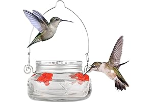 Nature's Way Mason Jar Hanging Hummingbird Feeder