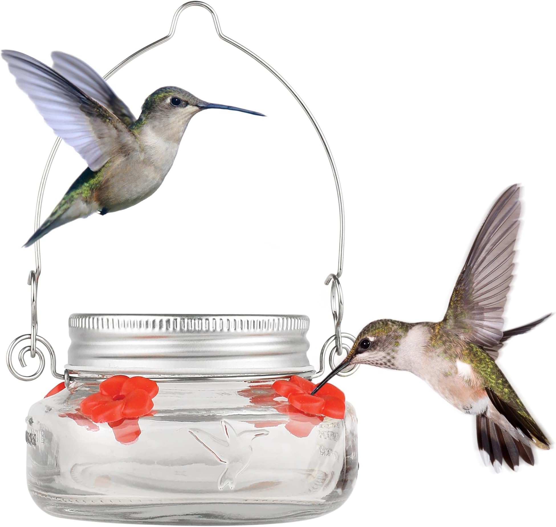 Bird Products MJF1 Nature's Way Mason Jar Hummingbird Dish Feeder, Clear