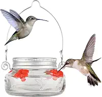 Nature's Way Bird Products MJF1 Nature's Way Mason Jar Beija-flor Alimentador de pratos, transparente, 10 cm de diâmetro.