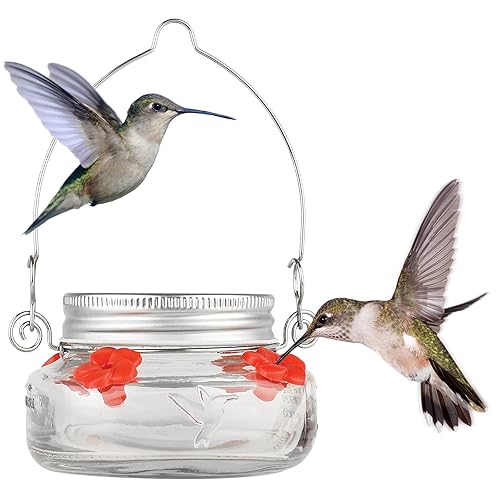 Nature's Way Bird Products MJF1 Nature's Way Mason Jar Hummingbird Dish Feeder, Clear 4.5" dia. - Clear - MJF1 Nature's Way