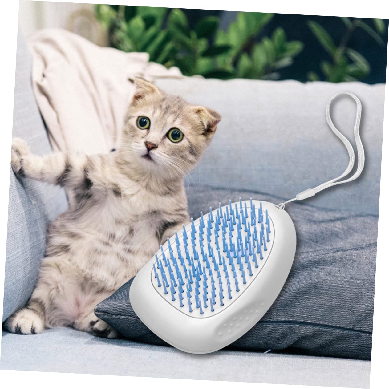 YARNOW 3 Pièces peigne de chat brosse à poils de chien outil de toilettage pour animaux de compagnie brosse pour chien peignes pour de toilettage pour épilation