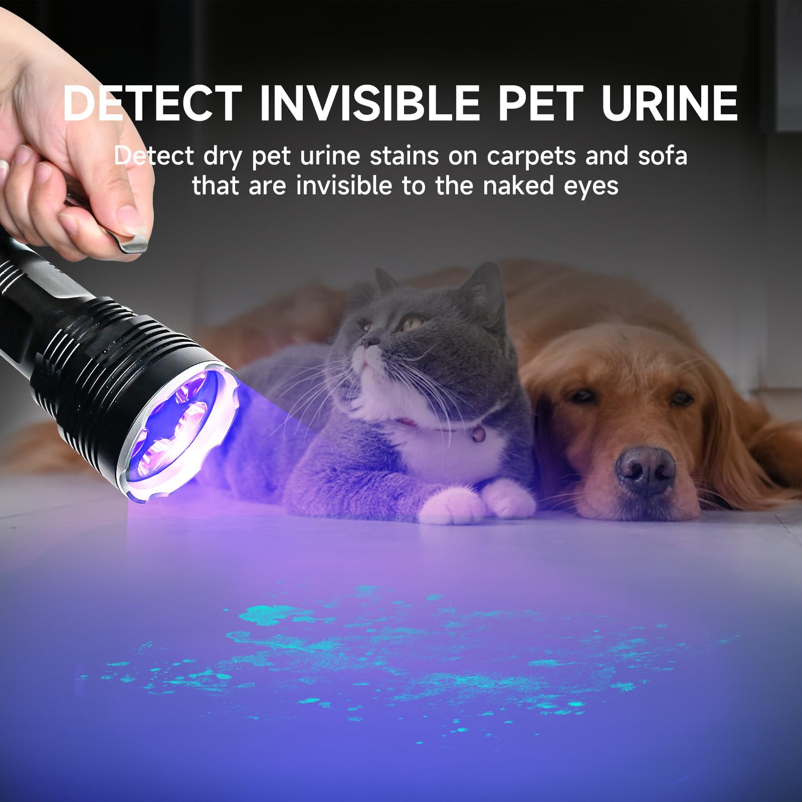 Ultrafire Linterna UV LED 395 nm, 50W de Alta Potencia Luz Ultravioleta, Luz UV de Largo Alcance para Búsqueda de ámbar, Caza de Escorpiones, Curado de Resina, Búsqueda de Minerales de Roca,