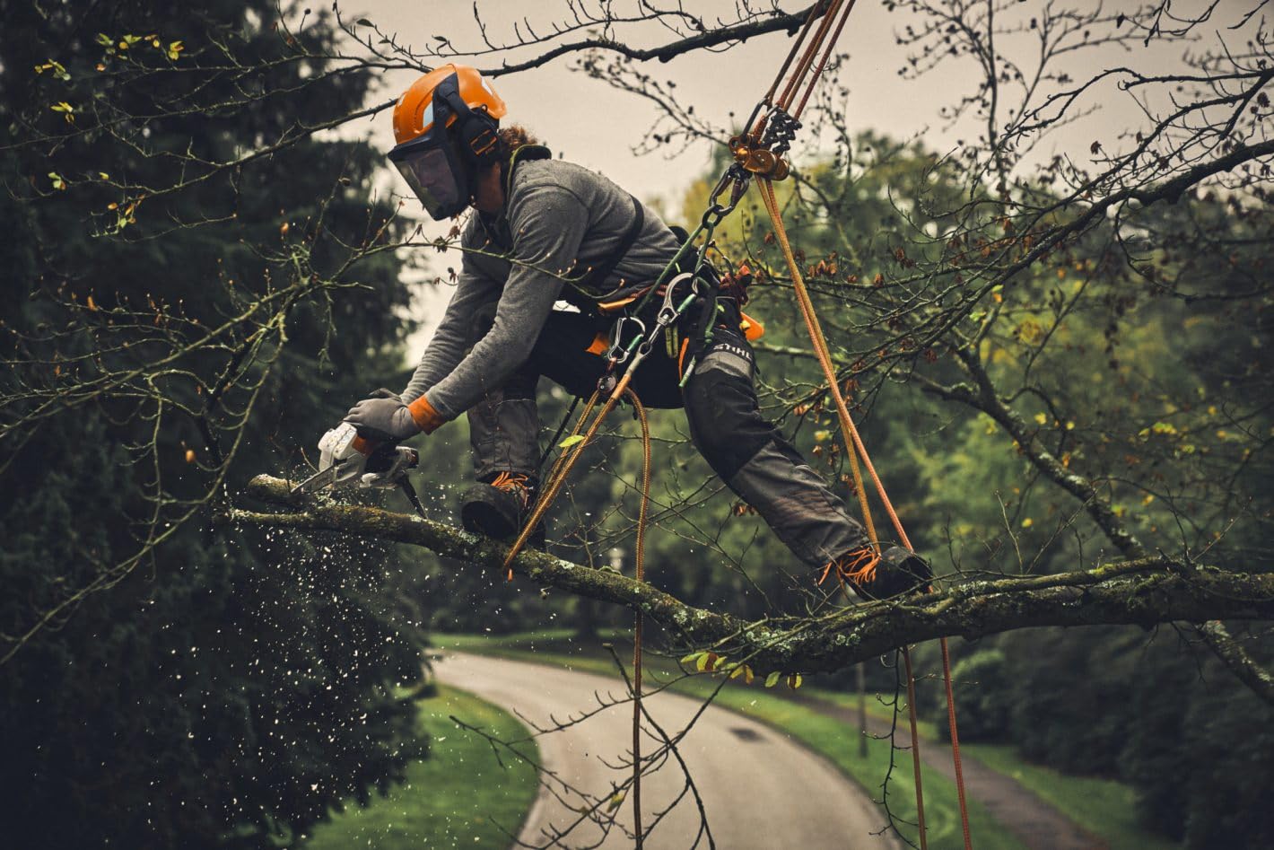 Stihl Podadora profesional a batería GTA40
