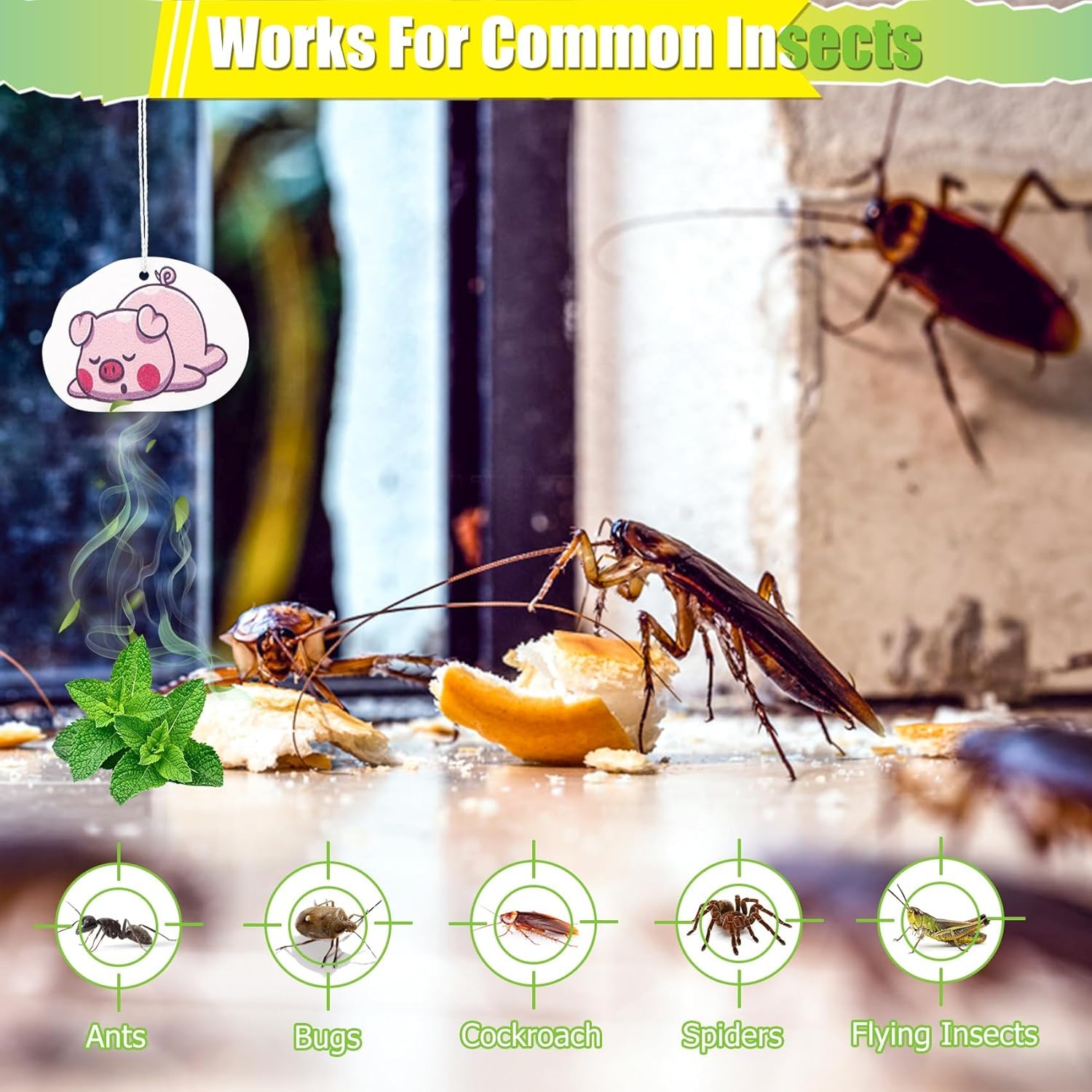 16 Oz Peppermint Oil Insect & Pest Spray, Natural Plant-Based Peppermint Oil Spray for Bugs, Mice, Spiders, Ants, and More, Indoor Bug Spray for Home Kitchen - Image 3