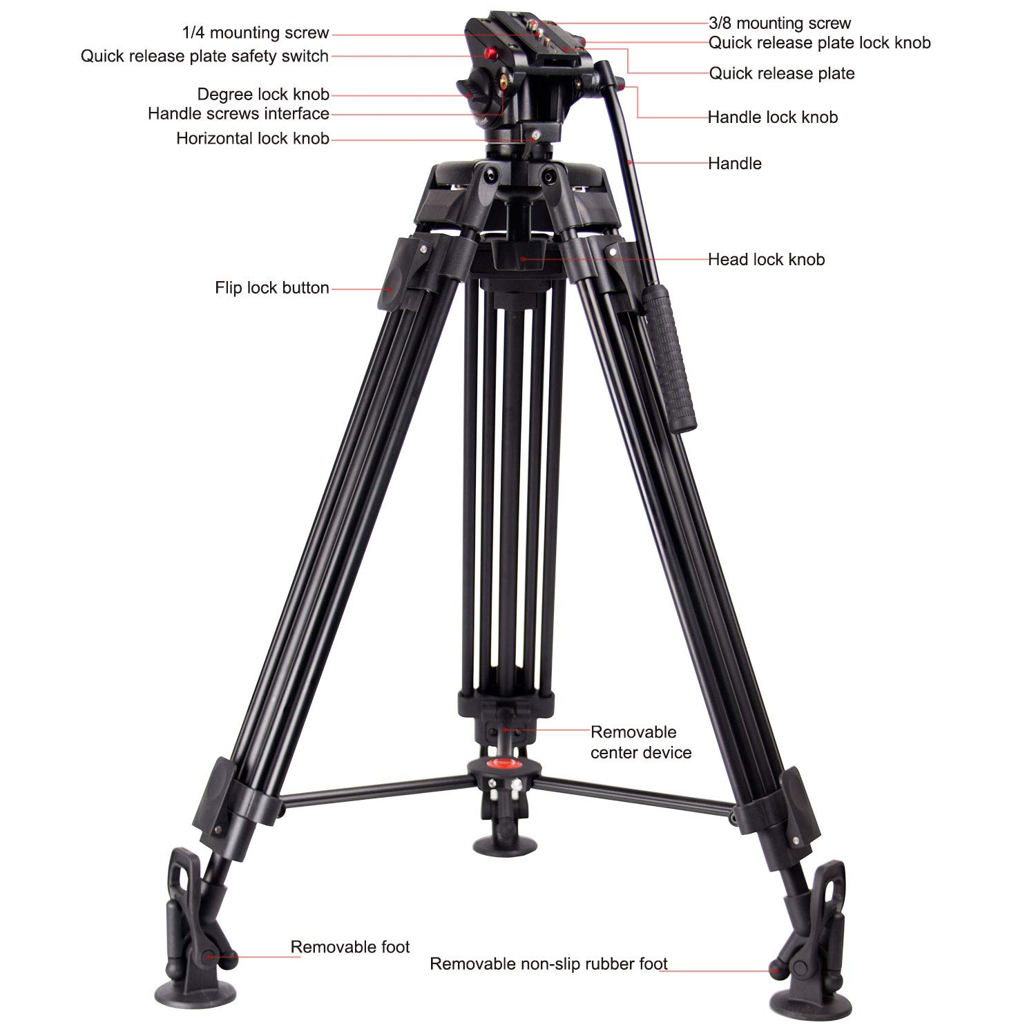 Amazon.com : Regetek 71