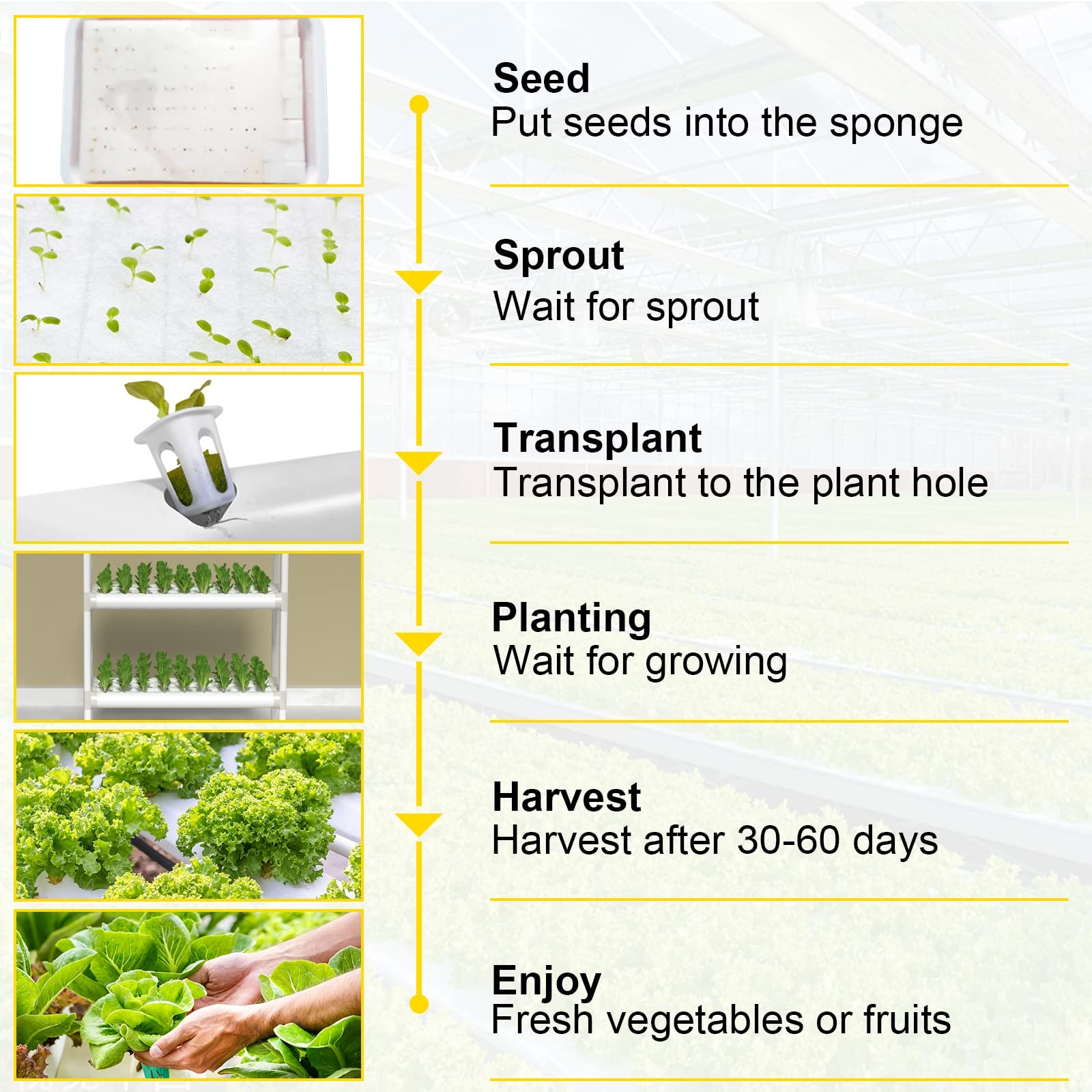 Kit De Cultivo Hidropónico 108 Agujeros 4 Tubos Hidropónico De PVC Sistema De Cultivo De Agua Plantas De Jardín para Hortalizas Lechuga Flores Frutas Verduras Sin Tierra Hidropónico