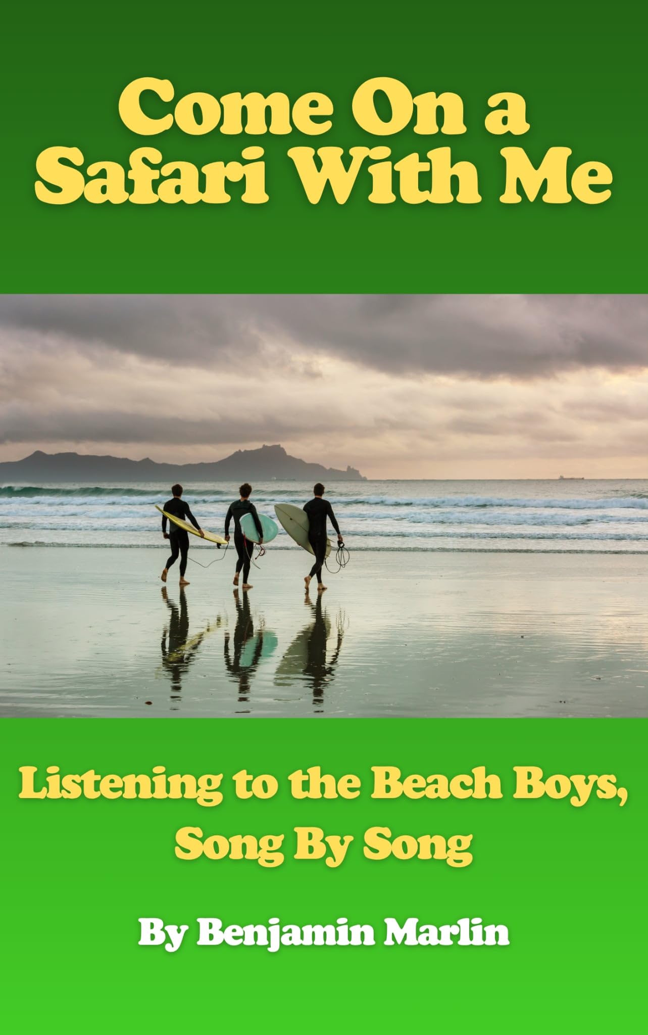 Livre The Beach Boys par chanson : analyse de la discographie rock pop en anglais