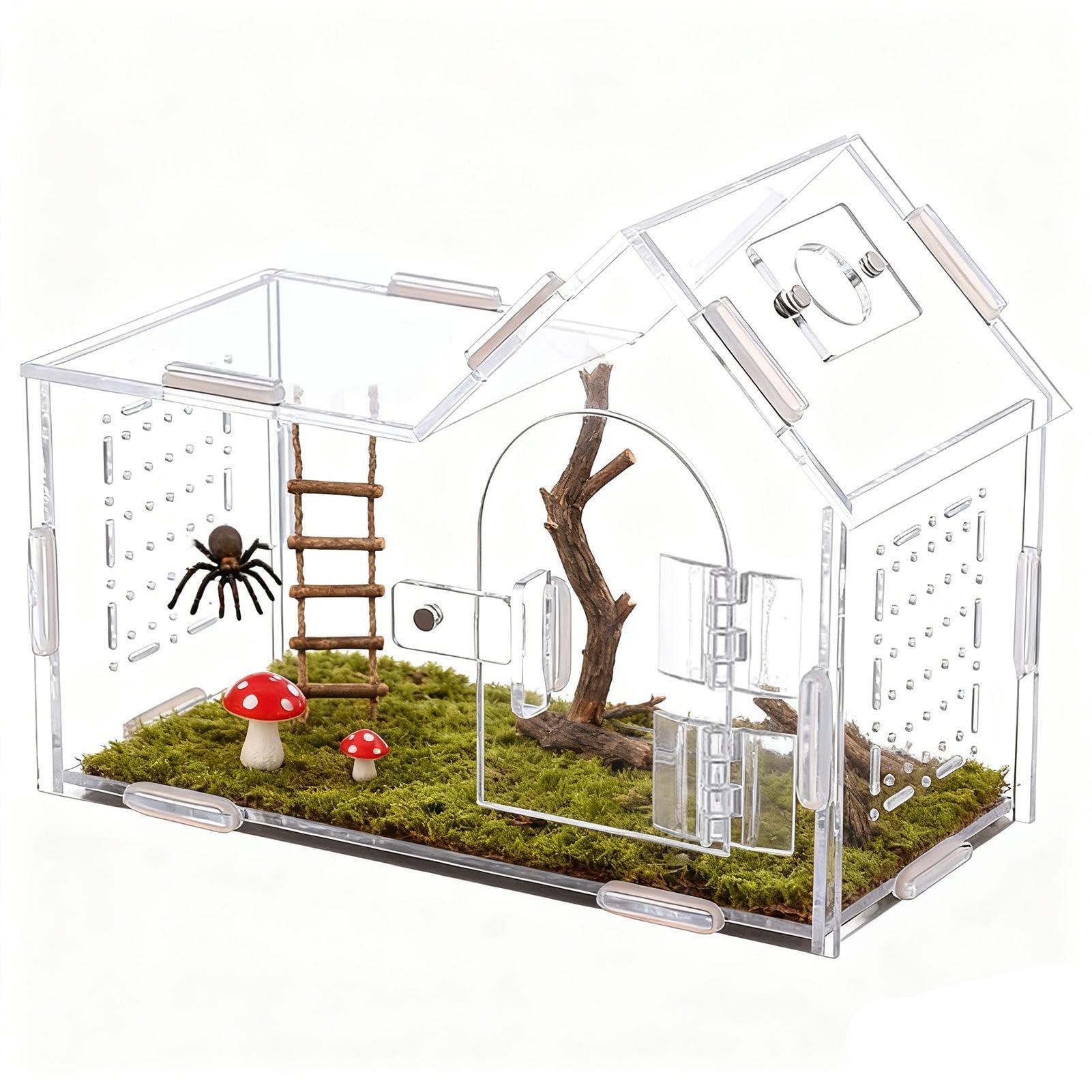Recinto Spider - Terrario Acrílico con Puerta Magnética Y Ventilación | Casa de araña saltarina para Geckos, Ranas, lagartos, tarántulas y Mascotas arbóreas