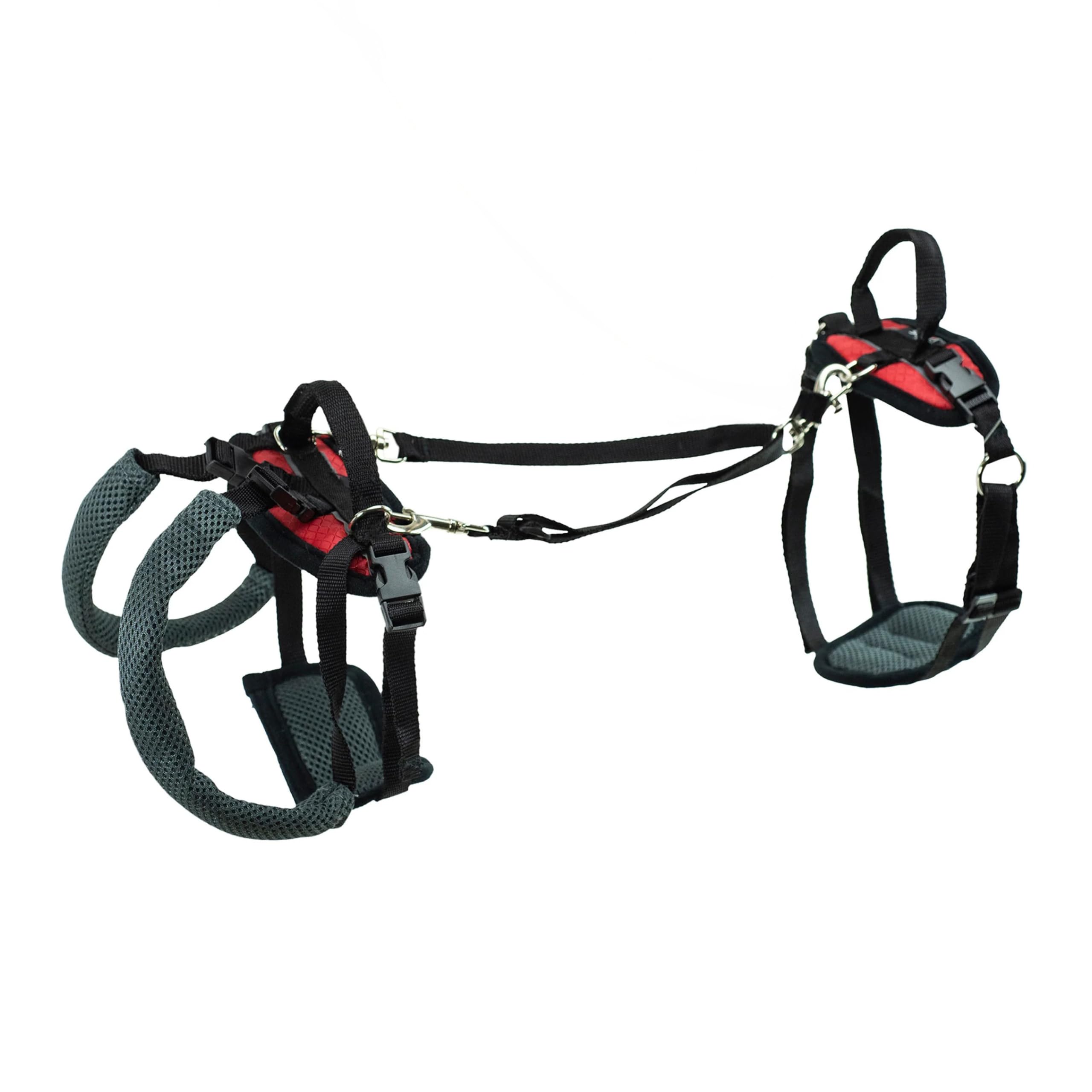 PetSafe Full Body Lifting Aid with Handle - Great for Pet Mobility and Older Dogs to Help Them Up - Comfortable, Breathable Material - Easy to Adjust - Small