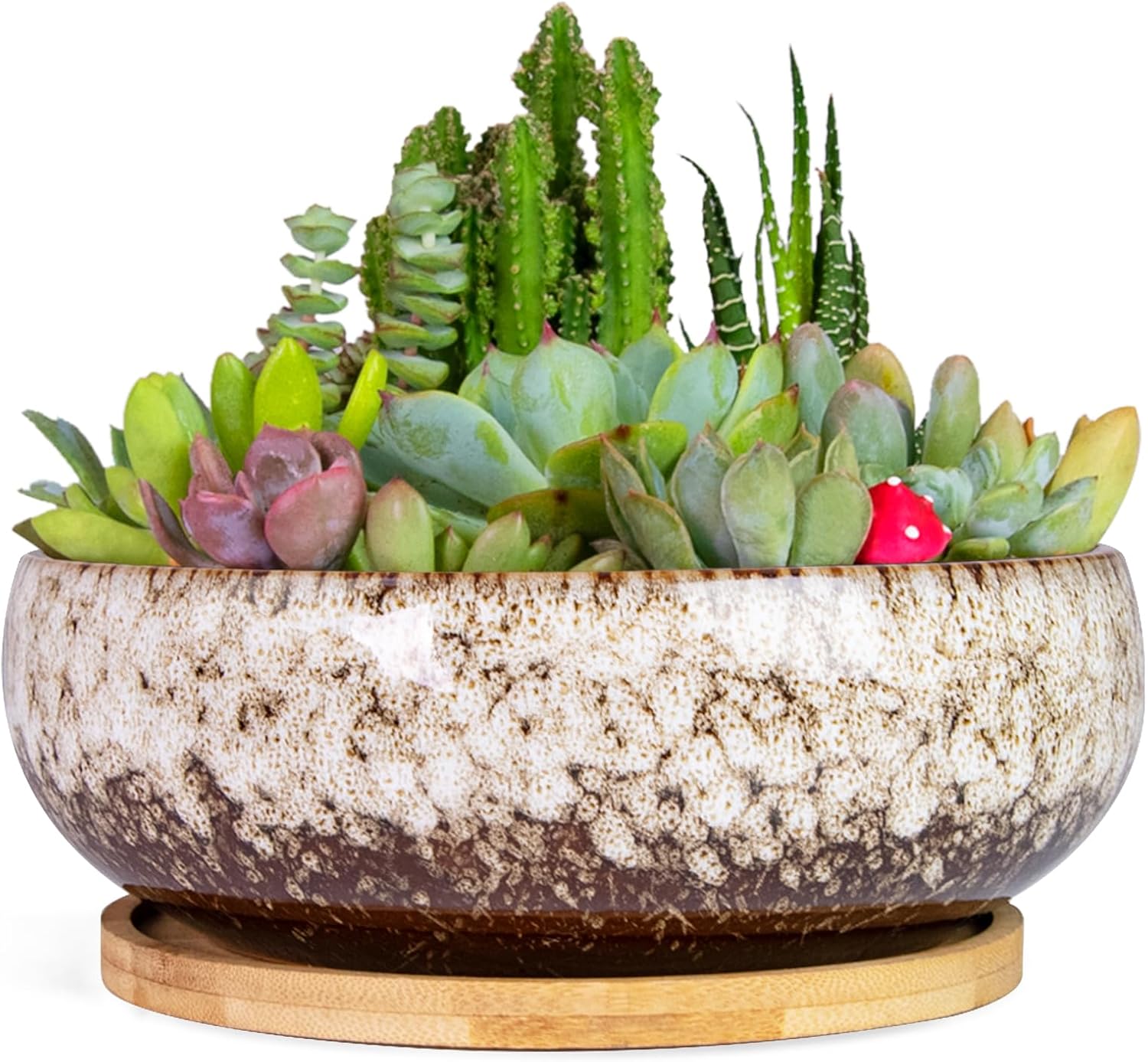 ARTKETTY Succulent Pots - 7.5 Inch Large Plant Pot with Bamboo Tray, Shallow Bonsai Pots with Drainage, Ceramic Planter for Indoor Plants, Cactus, Home Office Desk Decor