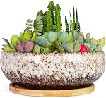 ARTKETTY Pots sucants - 7.5 Poitrine de grande taille avec bac en bambou, pots de bonsai peu profonds avec drainage, planteur en céramique pour les plantes intérieures, cactus, décoration de bureau à domicile