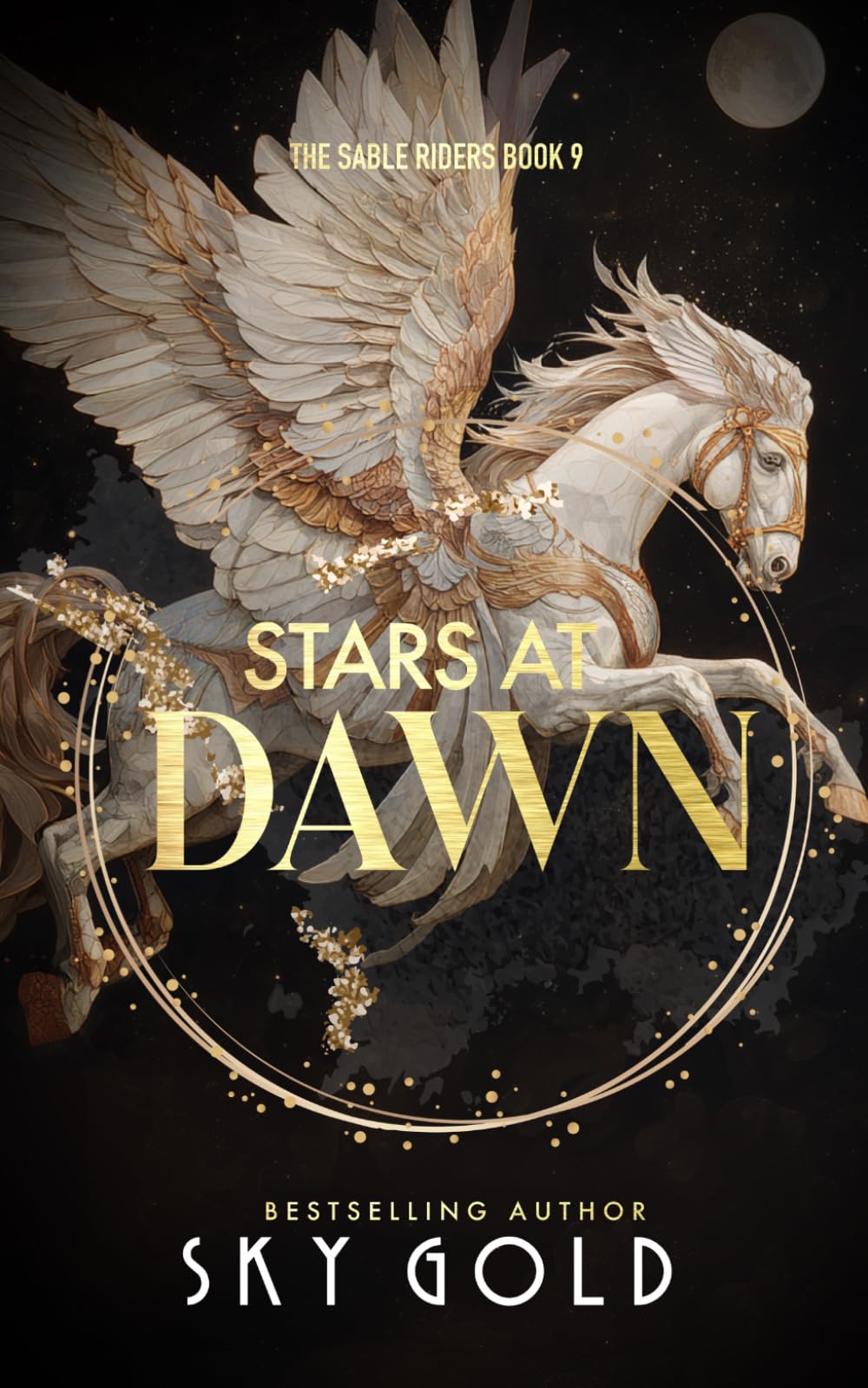 Stars At Dawn: A Secret God-Warrior Romance (The Sable Riders)