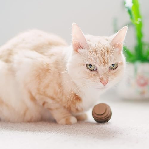 Miniatura 7 de Americat - Juguetes de bolas para gatos  Fabricado en Estados Unidos  Juguetes seguros de cartón para gatos  para juego interactivo e independiente,