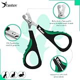 CANDURE Tagliaunghie Cane e Gatto con Guardia per Protezione Cani - Acciaio Inossidabile Tagliaunghie Gatto Professionale per Veterinaria e Uso Personale (Verde Chiaro, S Piccolo) - 5