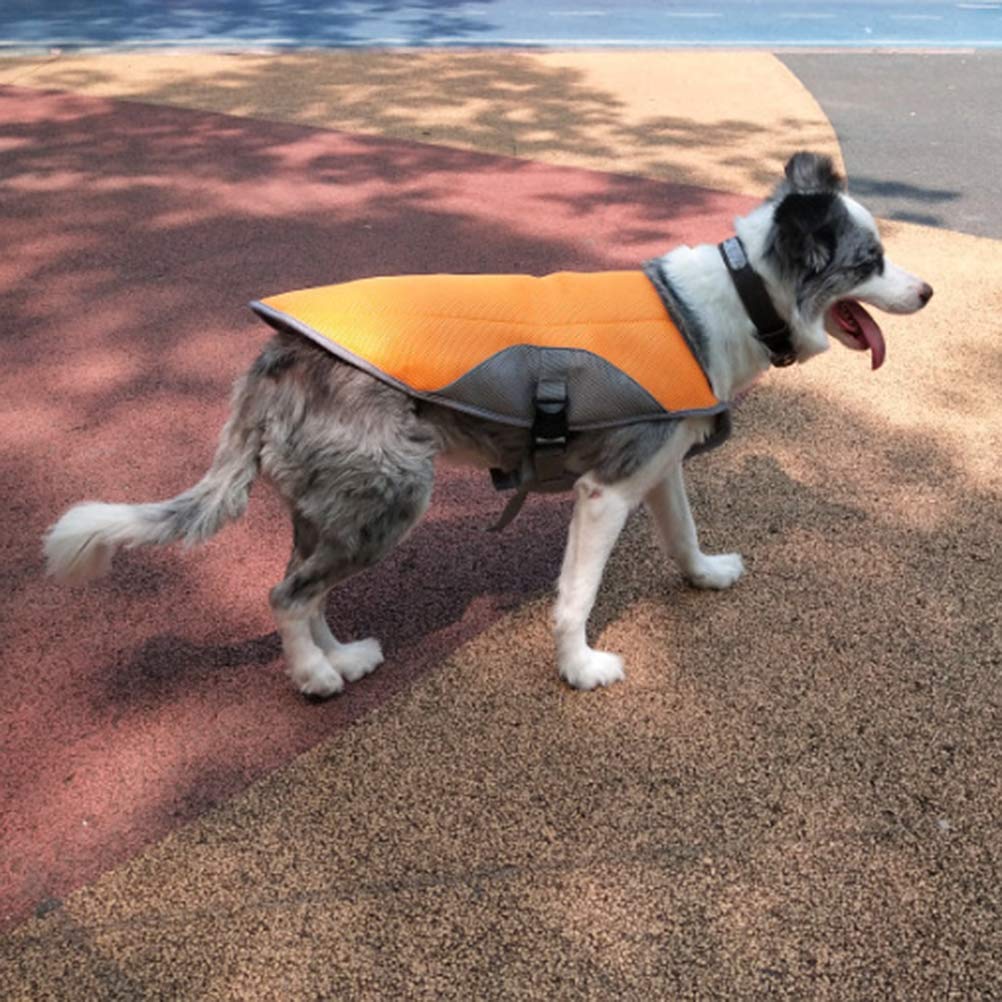 VILLCASE Gilet Rafraîchissant pour Chien Respirant et Confortable Taille 2XL pour L'