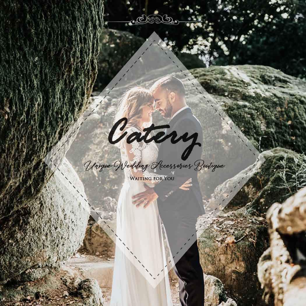 Catery Bride Wedding Hair Comb Hair Accessories with Crystal Bridal Side Combs Headpiece for Women : Beauty & Personal Care