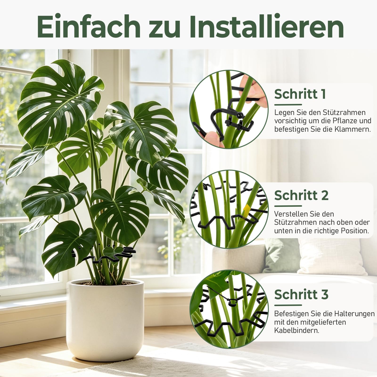 WUQNGI Pflanzenstütze, 10 Stück Staudenhalter Rund, Einstellbare Hortensien Stütze Ø 21,5 cm, Robust Pflanzenhalter für Garten als Staudenstütze, Rosenstütze, Blumenstütze, Pfingstrosen Halterung