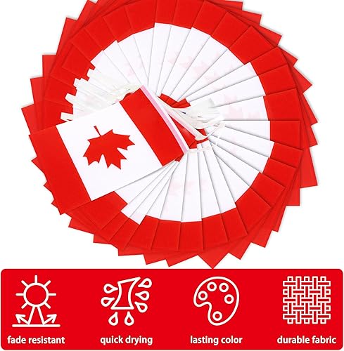 Miniatura 142 de Banderín de bandera de República Dominicana, pequeña mini bandera dominicana, banderín de banderines, decoración nacional de país para escuela