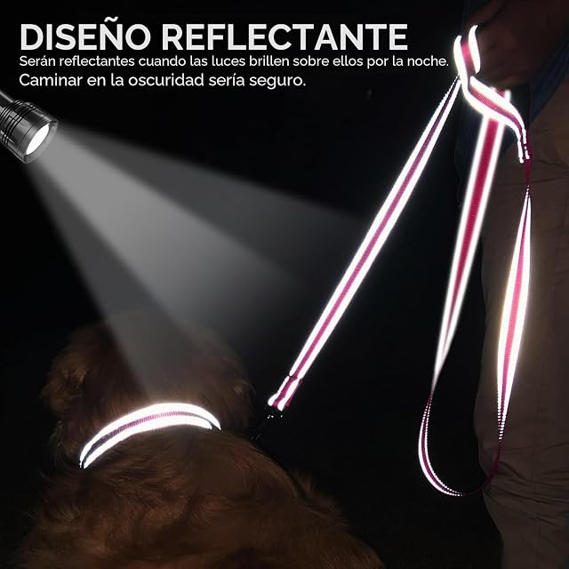 Foto 4 de 6 de Joytale Correa para Perro Reflectante de Doble Cara, Correa para Perros con Mango Acolchado