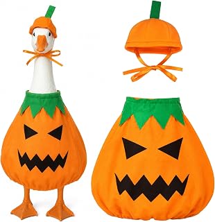 Pumpkin Halloween Goose Outfit Porch Goose Halloween Outfits 23 in