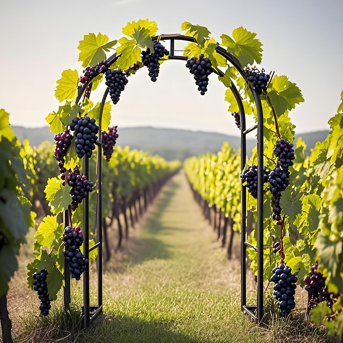 Arco Jardín Metálico, Estable Pérgolas Arch Boda, Soporte Enrejado Plantas Enredaderas Rosas 140 200 230 240cm, Tutor Trepadoras para Jardín Exterior, Fiesta De Bodas Decoracion(Black,W1.4 x H2.30m)