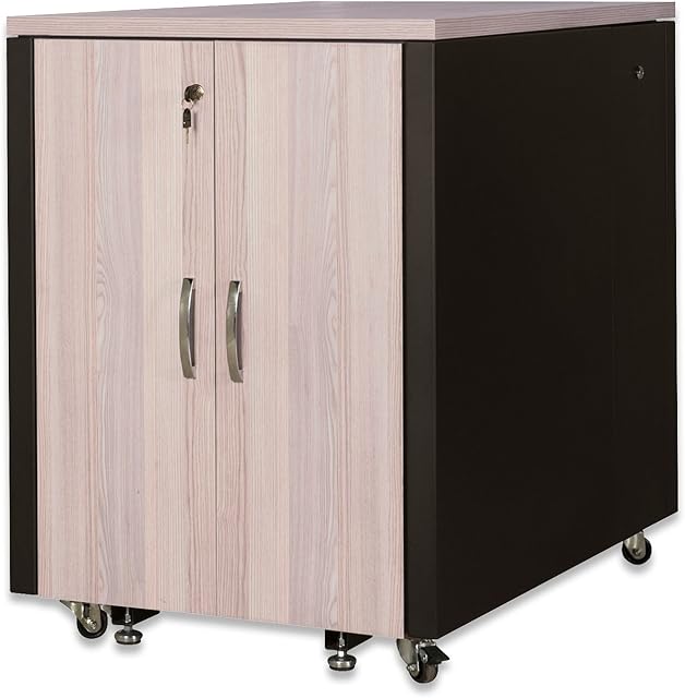 DIGITUS Szafa serwerowa - Rack 19 cali - 17U - Izolacja akustyczna - Nośność 1000kg - Seria SOUNDproof - Dekor dąb