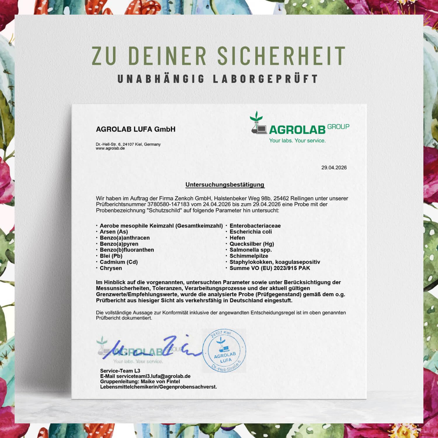 Immunsystem-Komplex - 500mg Echinacea mit Vitamin C Zink Selen L-Histidin & Kalmegh - Immunsystem stärken * vegan & ohne Zusätze - 120 Echinacea Purpurea Kapseln für 60 Tage