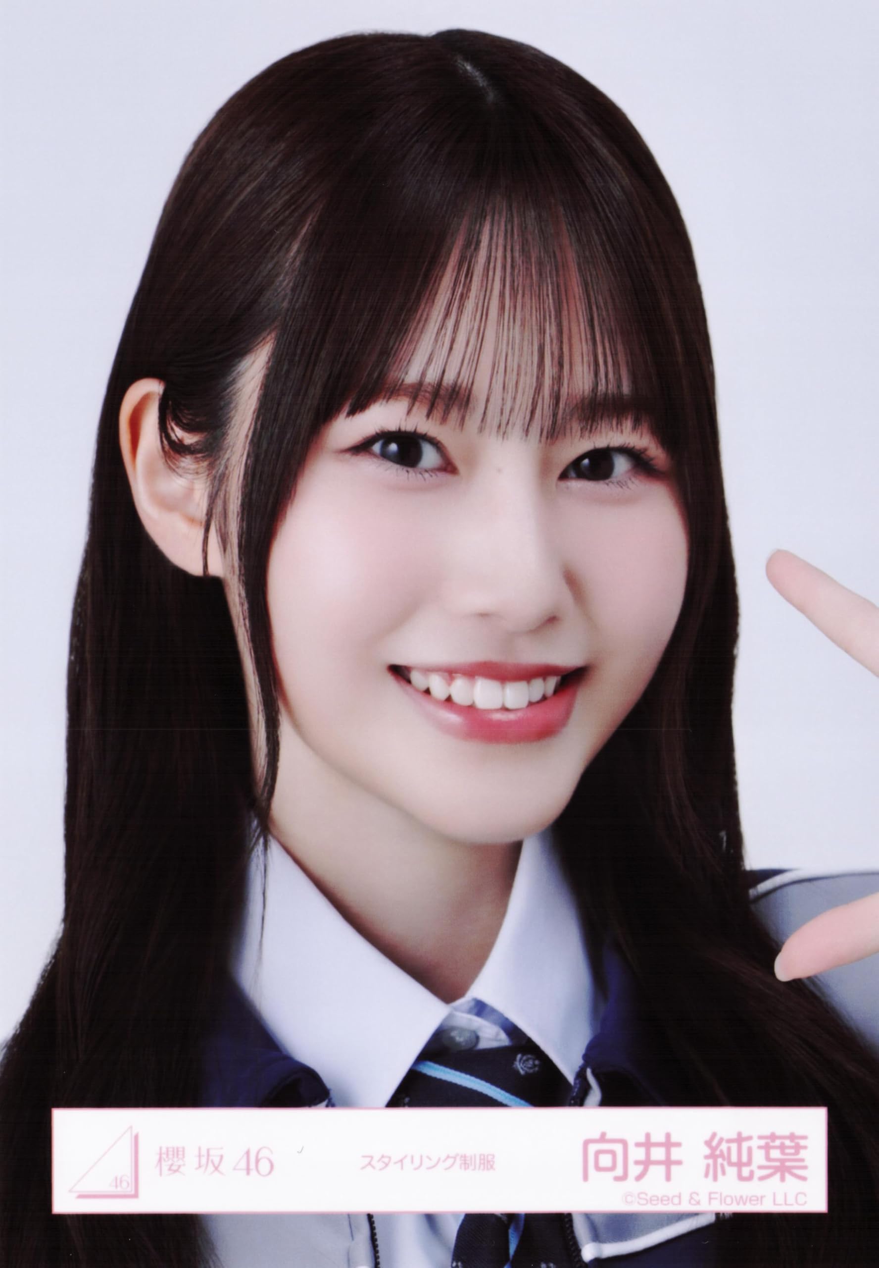 Amazon.co.jp: 櫻坂46 生写真 スタイリング制服 4種コンプ 向井純葉