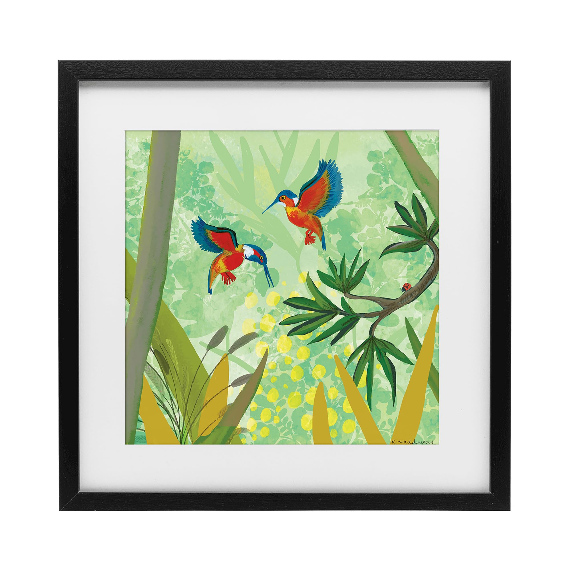 'Kingfishers in Jungle Branches'| Framed Print Under Glass