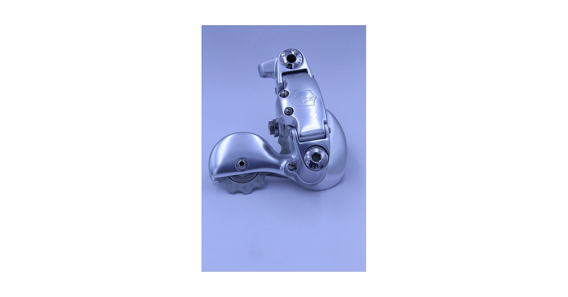CAMPAGNOLO RECORD カンパニョーロ レコード リアディレイラー Campagnolo ( カンパニョーロ ) リアディレイラー SUPER RECORD