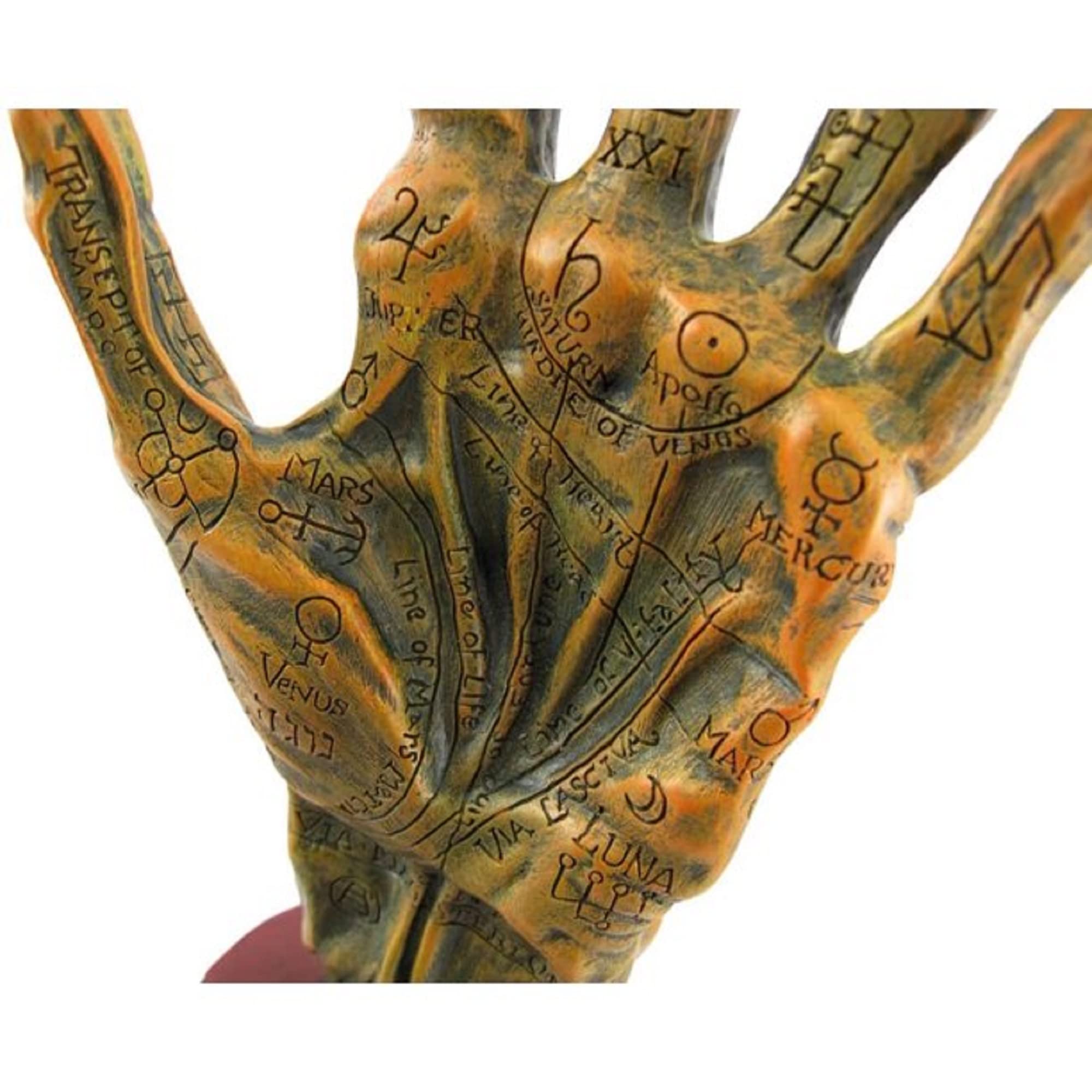 Amazon.com: F.e.s.s. Alchemy Mummified Palmistry Hand Gothic