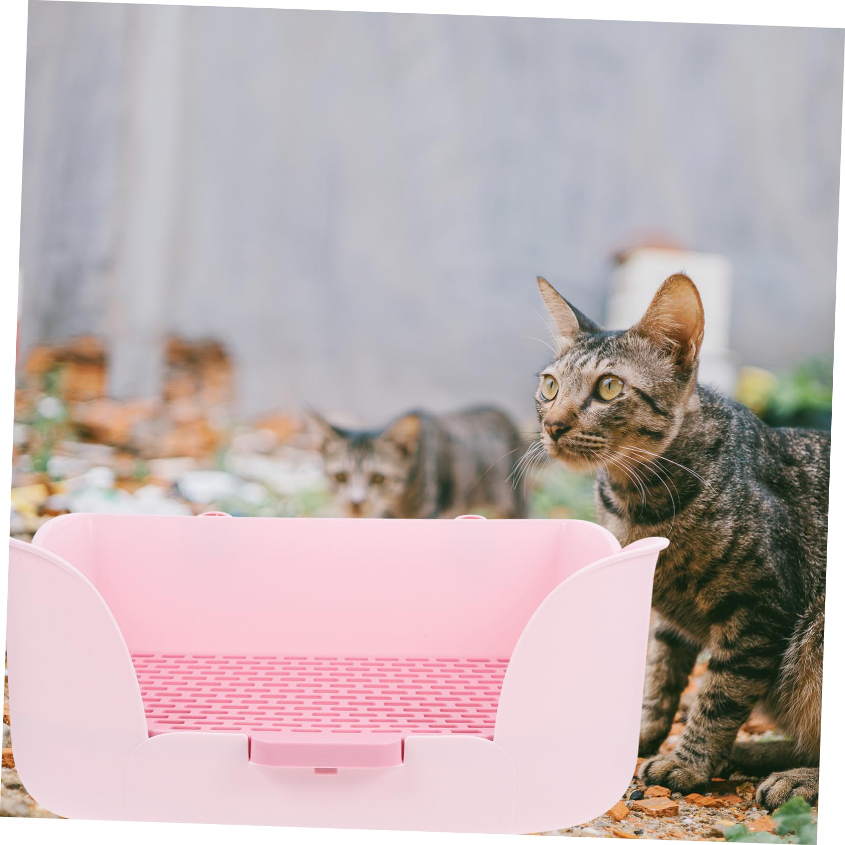 INOOMP Lettiera per Conigli Cavie Addestramento Water Vaschetta per Lettiera per Ratti Toilette per Piccoli Animali Materiale ABS
