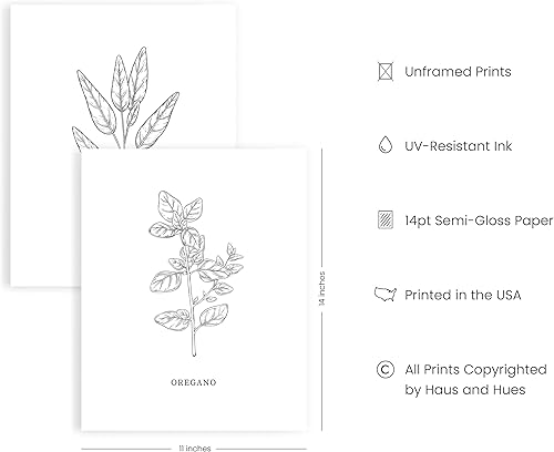 Miniatura 2 de HAUS AND HUES Arte de pared de hierbas de cocina, impresiones artísticas de hierbas, letreros y decoración de cocina, impresiones de hierbas para