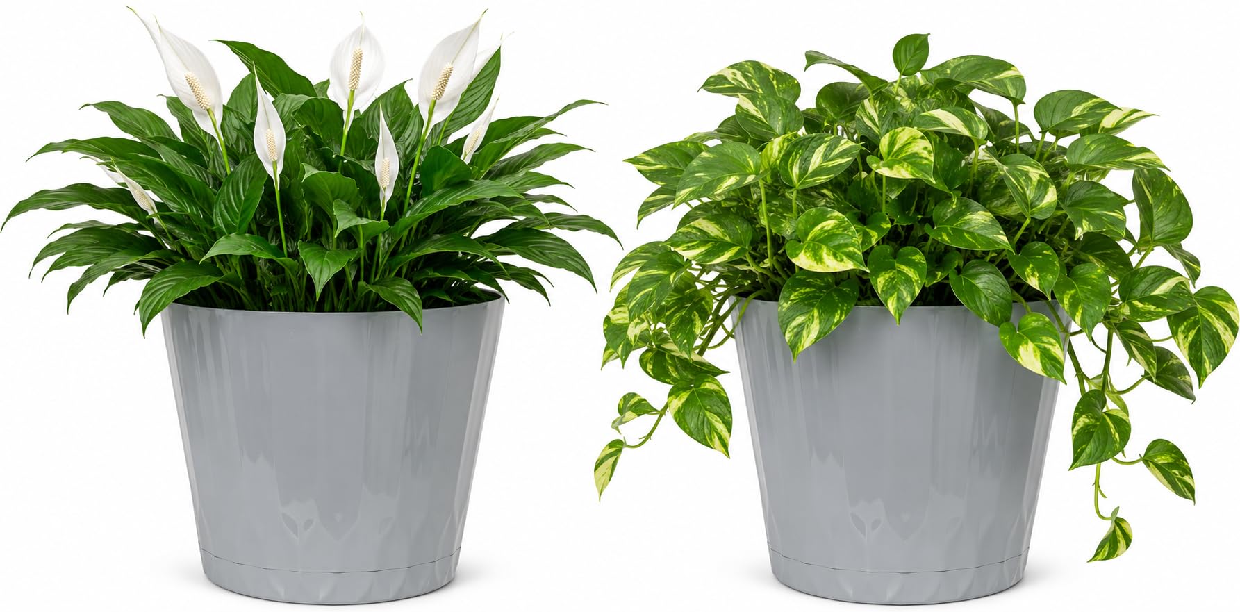 Muddy Hands Decorative Grey Plant Pot with Clip-On Saucer – Indoor & Outdoor Round Plastic Planter for Flowers, Herbs & House Plants, Stylish Durable Flower Pot with Drainage Holes (2, 10 Litre)
